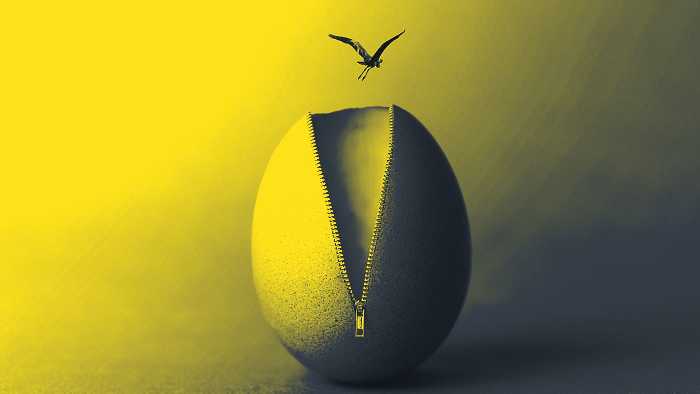 A stone egg unzipped down the middle with a bird taking off above it — a new unit opening out from inside an established institution.